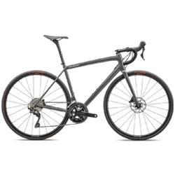 Cestno kolo Aethos Sport 2025 gloss fog tint carbon/dune white